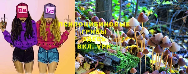 крисы Володарск