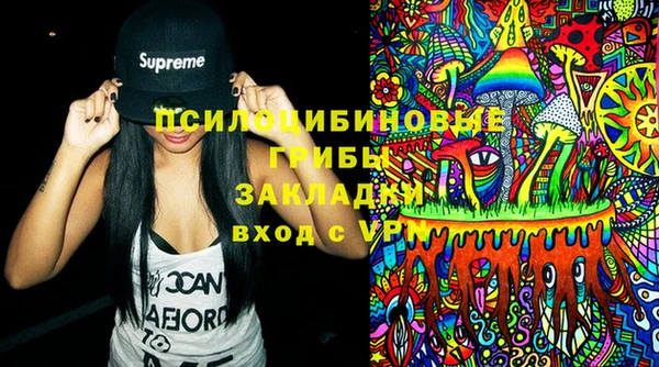гашик Лиски