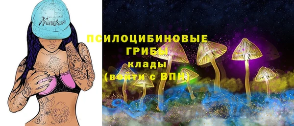 мяу мяу мука Волоколамск