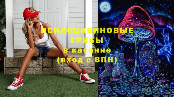 PSILOCYBIN Верхнеуральск
