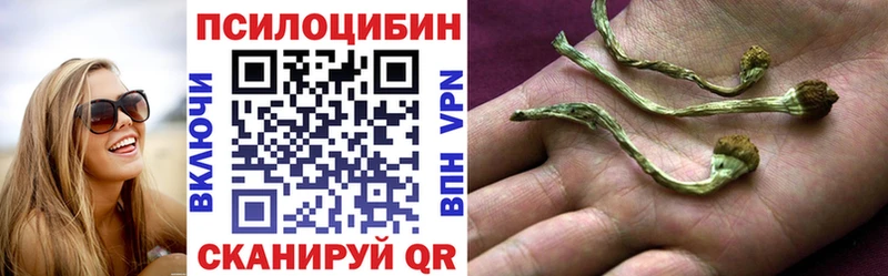 Псилоцибиновые грибы мицелий  Володарск 